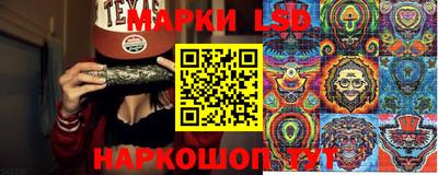 сатива Краснодар