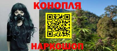сатива Краснодар