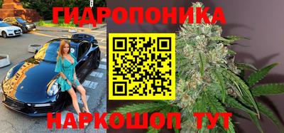 сатива Краснодар